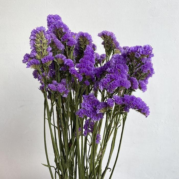 Bakewareind Dried Natural Statice Flower, { Select Color } - Bakeware India
