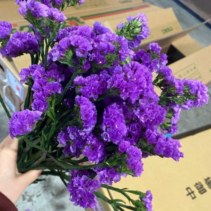 Bakewareind Dried Natural Statice Flower, { Select Color } - Bakeware India