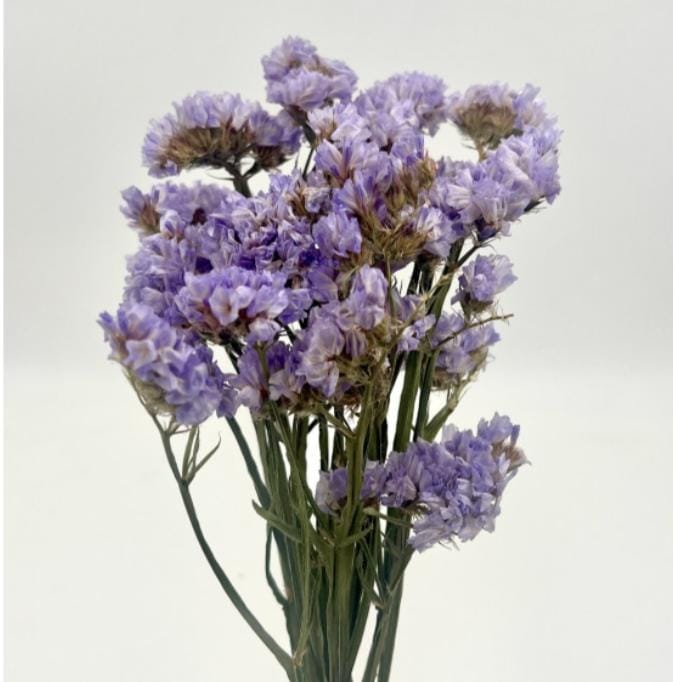 Bakewareind Dried Natural Statice Flower, { Select Color } - Bakeware India