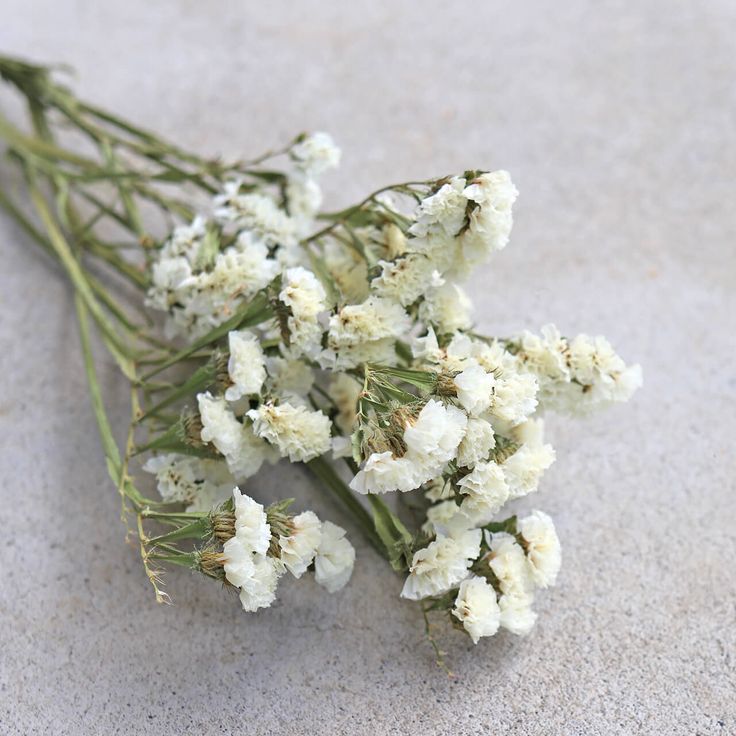 Bakewareind Dried Natural Statice Flower, { Select Color } - Bakeware India