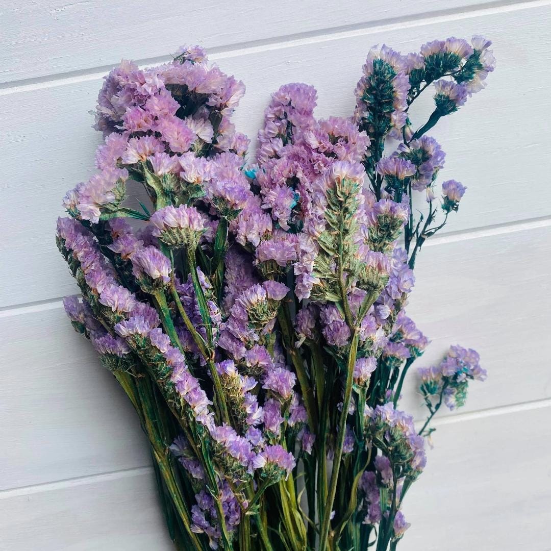 Bakewareind Dried Natural Statice Flower, { Select Color } - Bakeware India