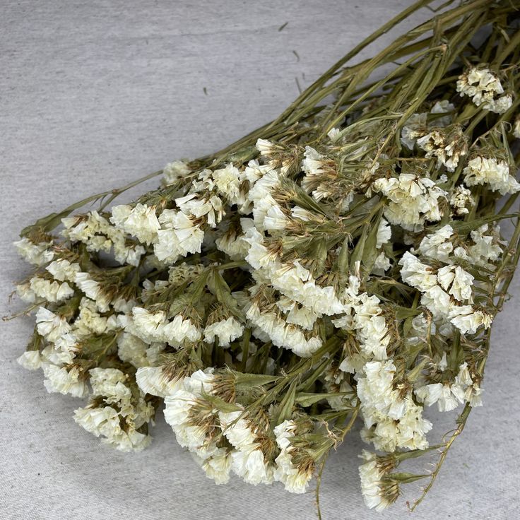 Bakewareind Dried Natural Statice Flower, { Select Color } - Bakeware India