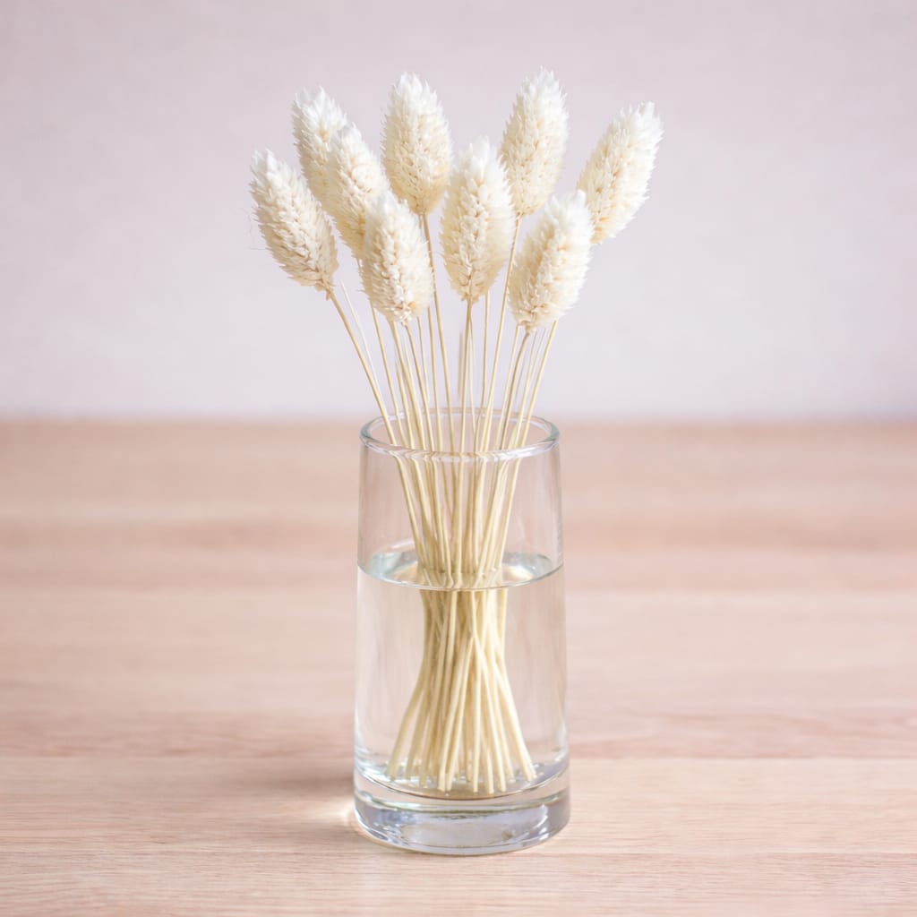 Bakewareind Dried Phalaris Natural Italian Grass Pack, 10pcs [ Select Color ] - Bakeware India