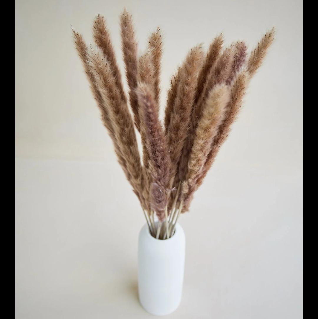 Bakewareind Dried Reed Pampass Grass, Brown - Bakeware India