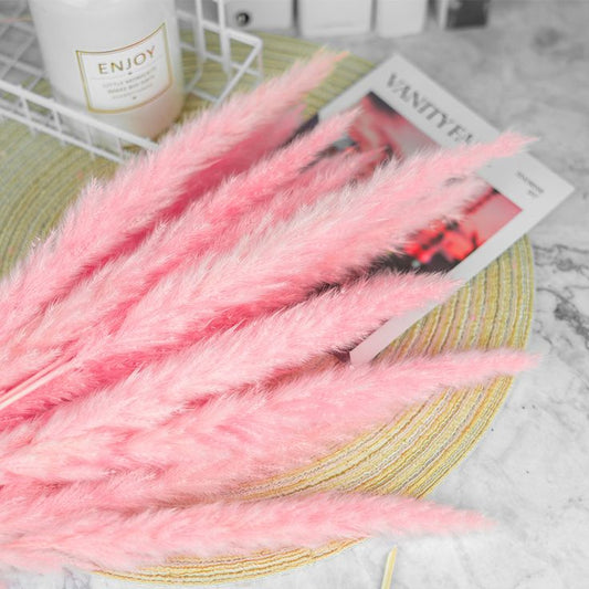 Bakewareind Dried Reed Pampass Grass, Pink - Bakeware India