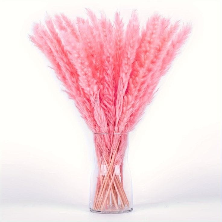 Bakewareind Dried Reed Pampass Grass, Pink - Bakeware India