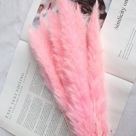 Bakewareind Dried Reed Pampass Grass, Pink - Bakeware India