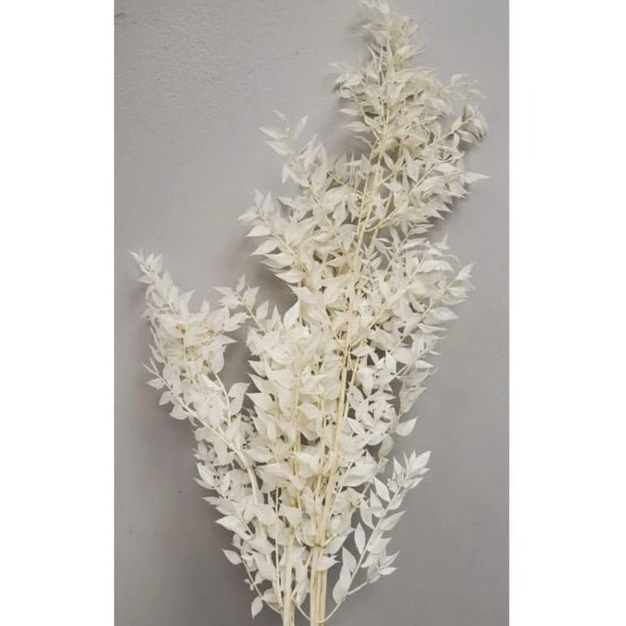 Bakewareind Dried White Ruscus Grass Cake Decorating - Bakeware India