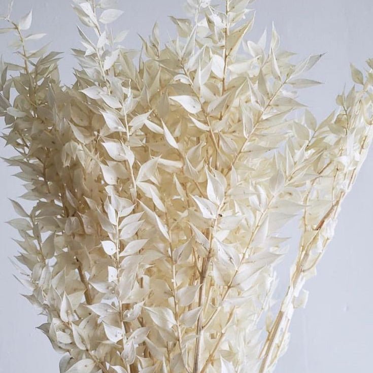 Bakewareind Dried White Ruscus Grass Cake Decorating - Bakeware India