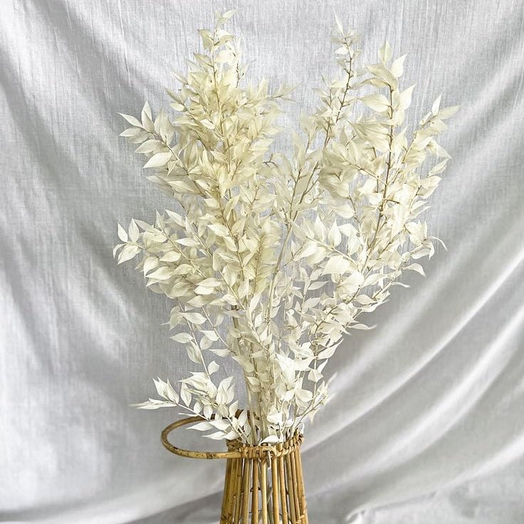Bakewareind Dried White Ruscus Grass Cake Decorating - Bakeware India