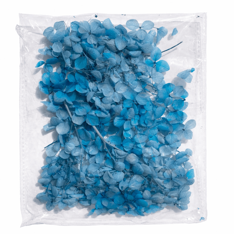 Bakewareind Hydrangea Dried Flower Pack - Bakeware India