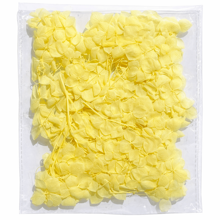 Bakewareind Hydrangea Dried Flower Pack - Bakeware India
