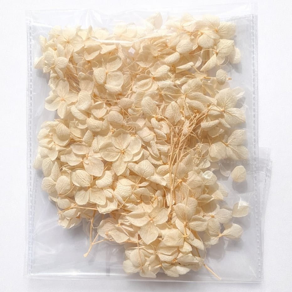 Bakewareind Hydrangea Dried Flower Pack - Bakeware India
