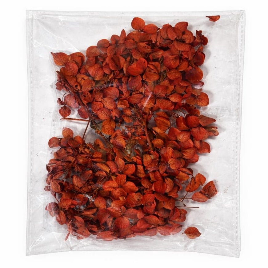 Bakewareind Hydrangea Dried Flower Pack - Bakeware India