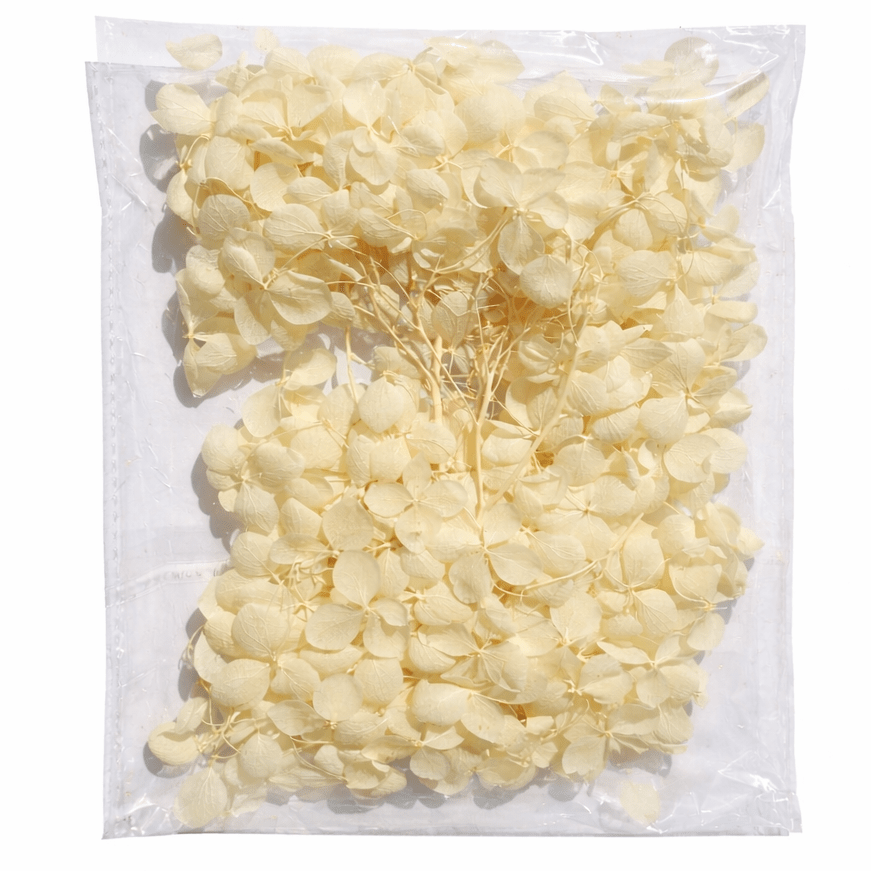 Bakewareind Hydrangea Dried Flower Pack - Bakeware India