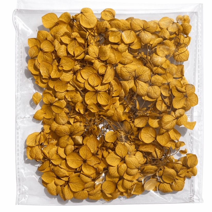 Bakewareind Hydrangea Dried Flower Pack - Bakeware India