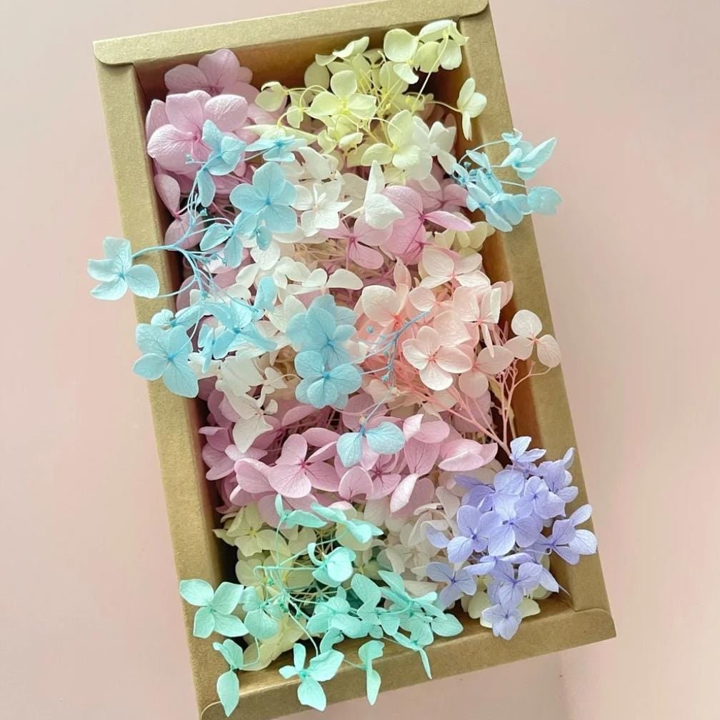 Bakewareind Hydrangea Dried Flower Pack - Bakeware India