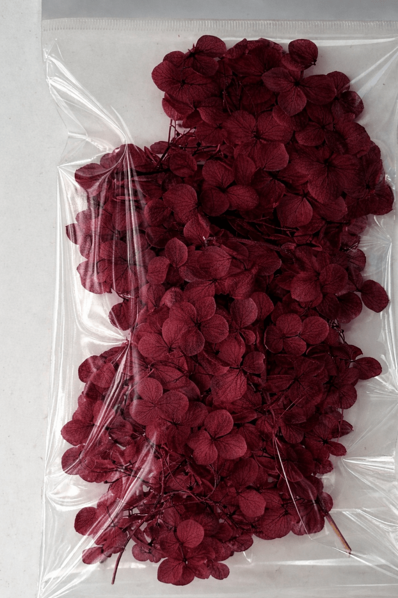Bakewareind Hydrangea Dried Flower Pack - Bakeware India