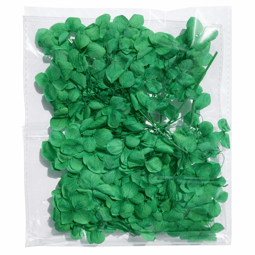 Bakewareind Hydrangea Dried Flower Pack - Bakeware India