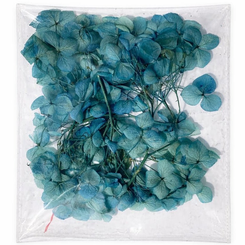 Bakewareind Hydrangea Dried Flower Pack - Bakeware India