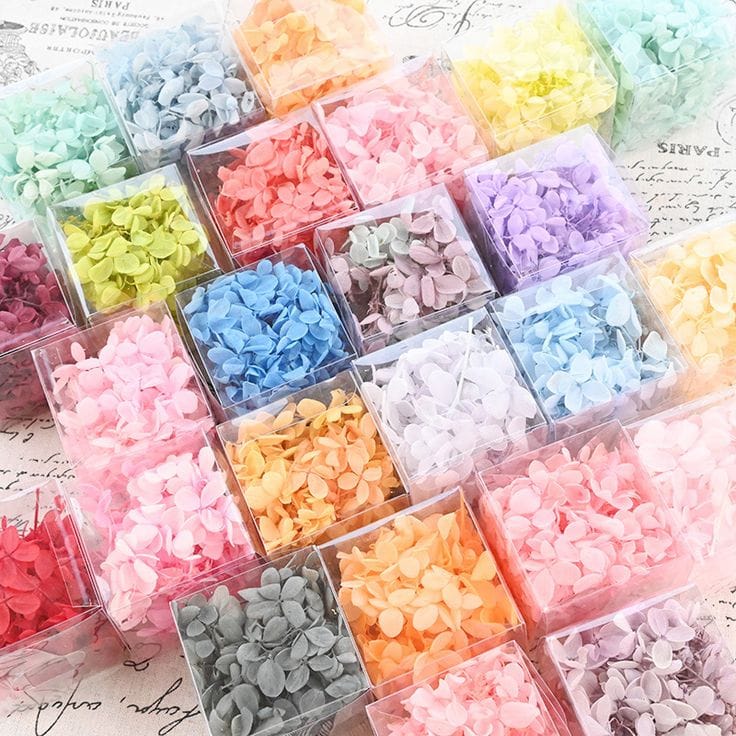 Bakewareind Hydrangea Dried Flower Pack - Bakeware India