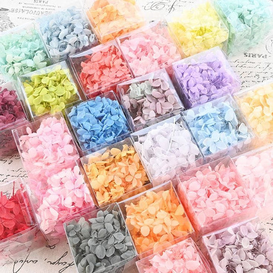 Bakewareind Hydrangea Dried Flower Pack - Bakeware India