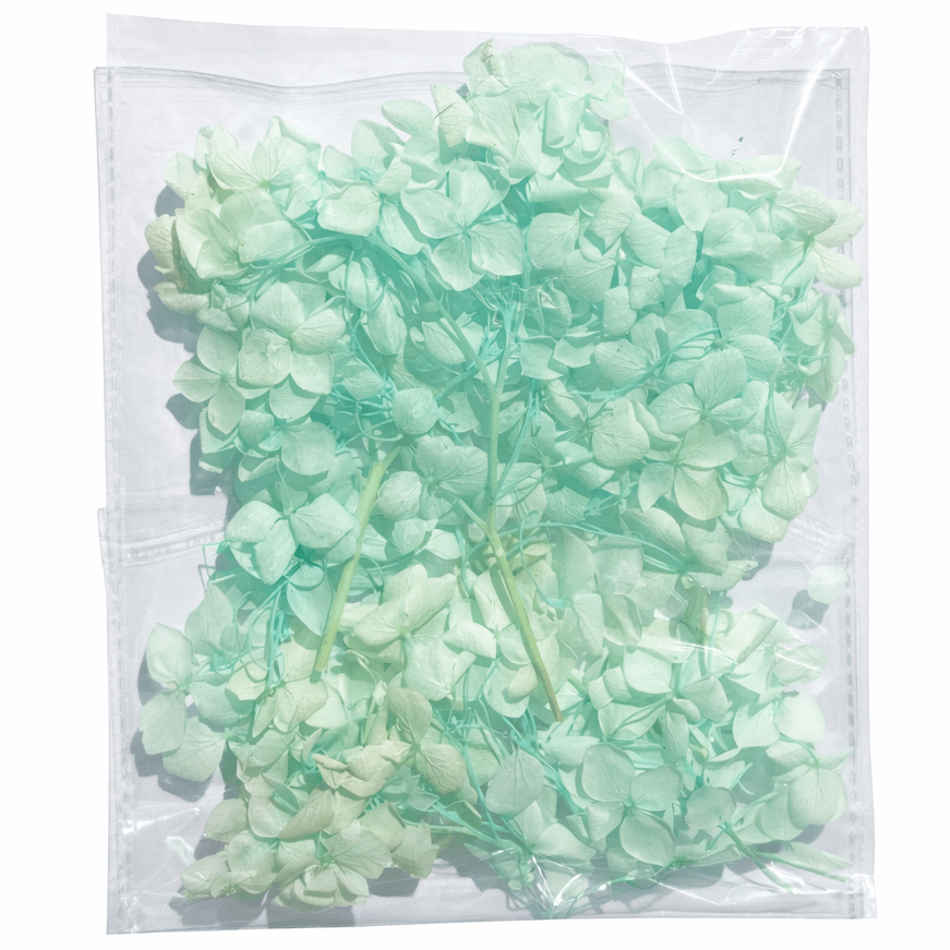 Bakewareind Hydrangea Dried Flower Pack - Bakeware India