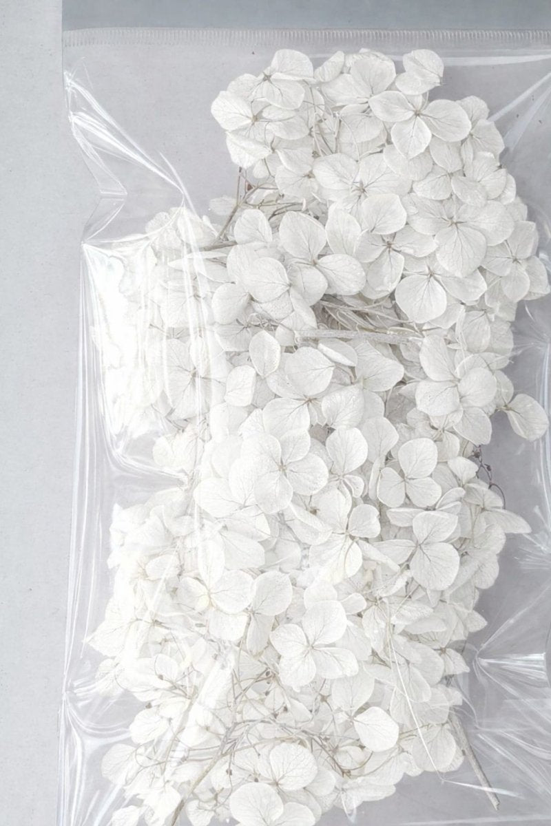 Bakewareind Hydrangea Dried Flower Pack - Bakeware India
