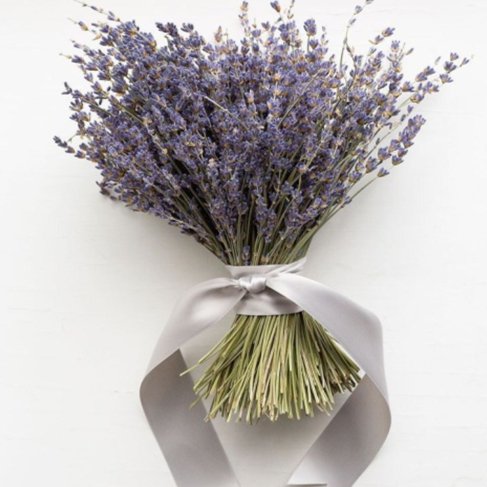 Bakewareind Lavender Natural Dried Flower Preserved - Bakeware India