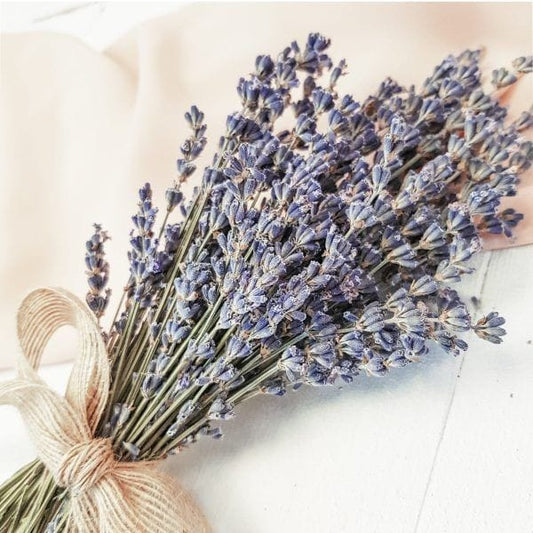 Bakewareind Lavender Natural Dried Flower Preserved - Bakeware India