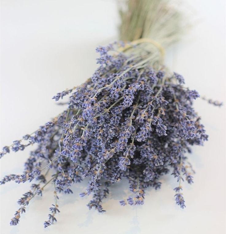 Bakewareind Lavender Natural Dried Flower Preserved - Bakeware India