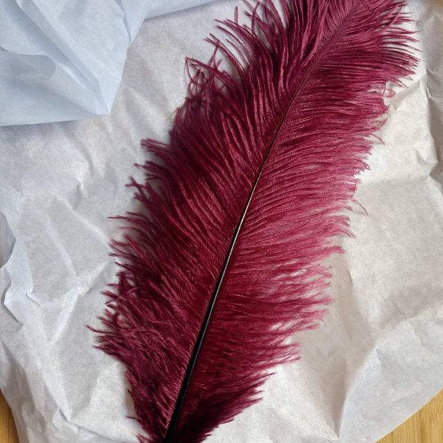 Bakewareind Maroon Feather Topper,1pc - Bakeware India