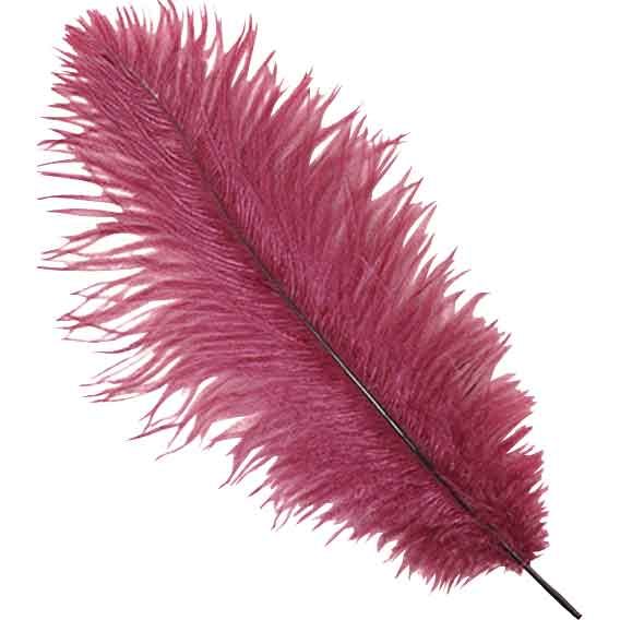 Bakewareind Maroon Feather Topper,1pc - Bakeware India