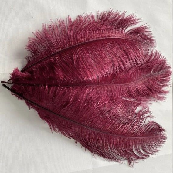 Bakewareind Maroon Feather Topper,1pc - Bakeware India