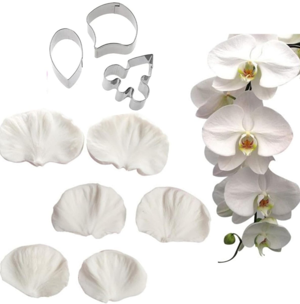 Bakewareind Orchid Petal Flower Veiner Silicone Mould & Stainless Cutter, {Select Design} - Bakeware India