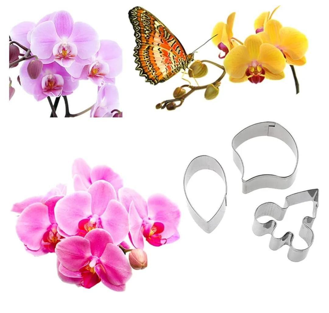 Bakewareind Orchid Petal Flower Veiner Silicone Mould & Stainless Cutter, {Select Design} - Bakeware India