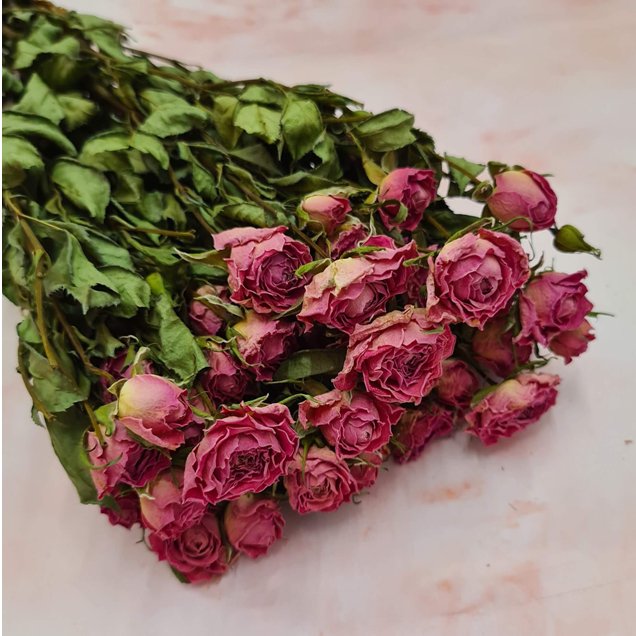 Bakewareind Preserved Dried Pink Rose Bunch - Bakeware India