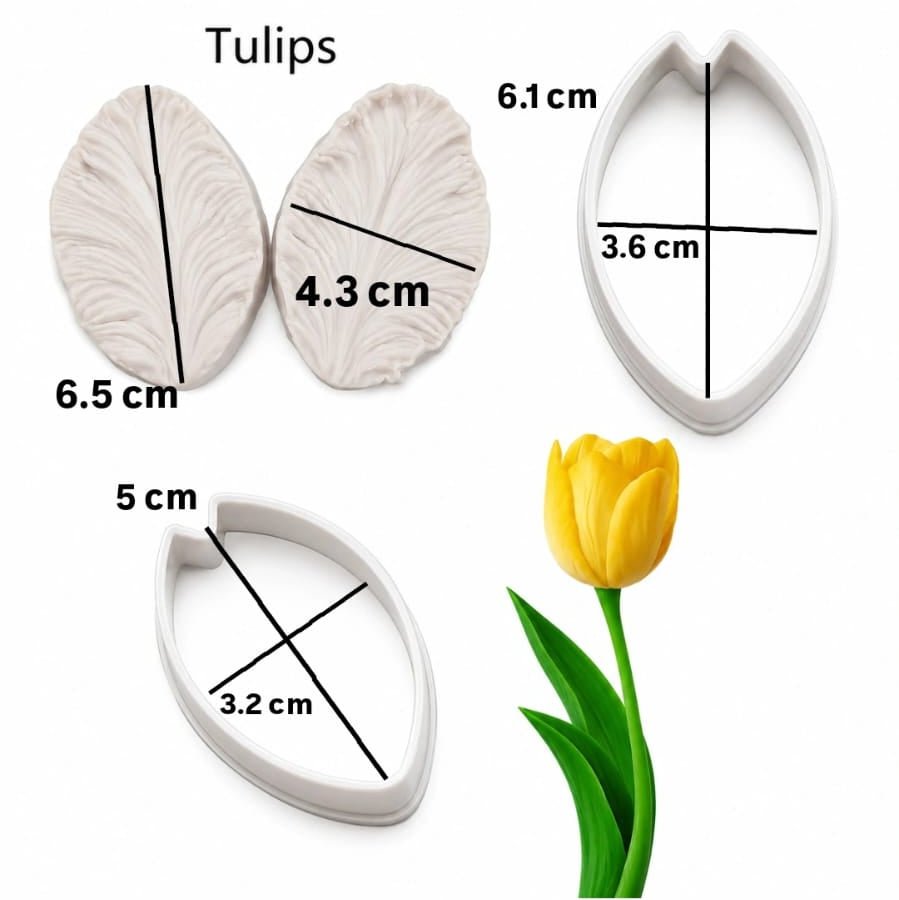 Bakewareind Tulips Petal Veiner Silicone Mould & Stainless Cutter, 4pcs - Bakeware India