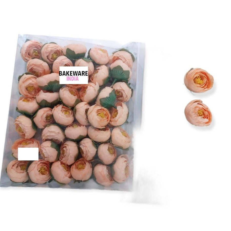 WhatsApp Image 2021-11-19 at 11.13.34 PM