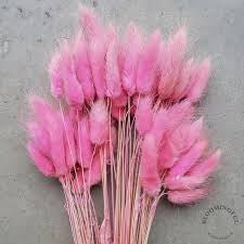 Bakewareind Bunny Tails Natural Dried Flower Preserved ,Mauve Pink - Bakewareindia