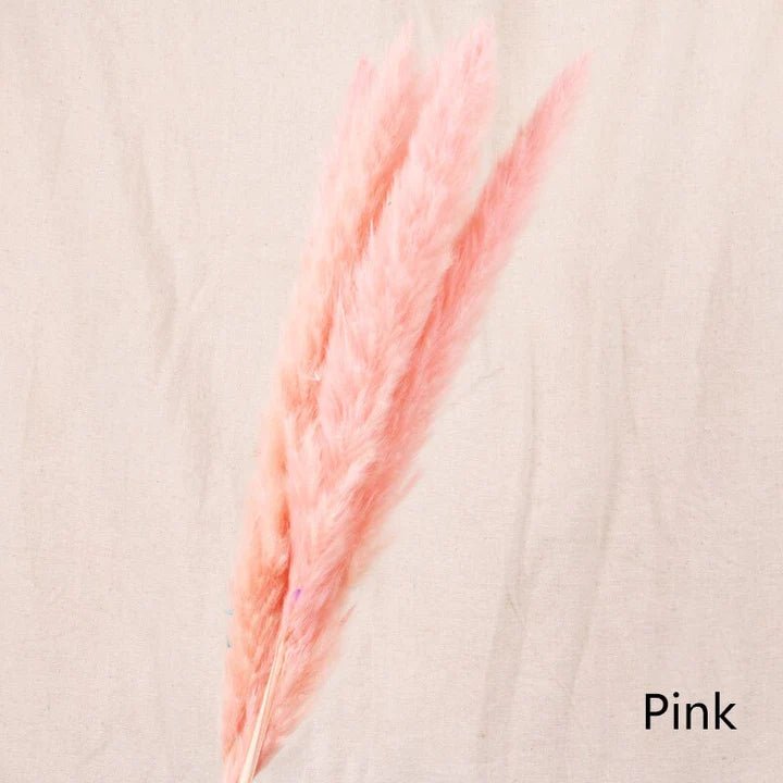Bakewareind Colored Dried Reed Pampass Grass - Bakewareindia