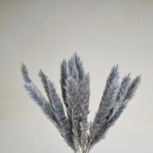 Bakewareind Colored Dried Reed Pampass Grass - Bakewareindia