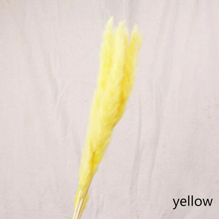 Bakewareind Colored Dried Reed Pampass Grass - Bakewareindia