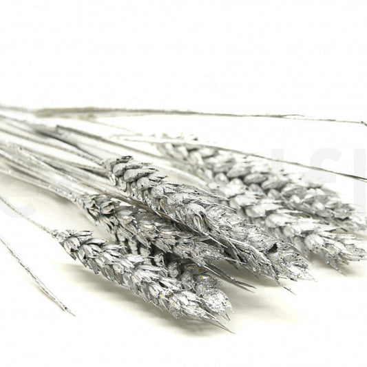 Bakewareind Dried Wheat Grass Cake Topper,Silver - Bakewareindia