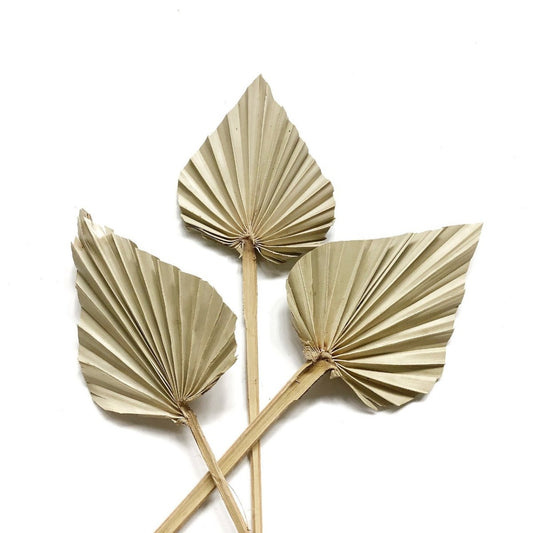 Bakewareind Natural Dried Palm Leaf Topper,2pc - Bakewareindia
