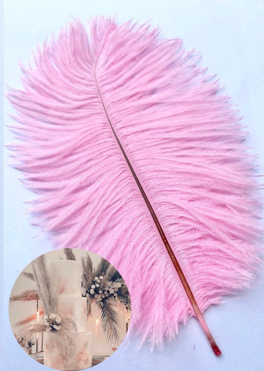 Bakewareind Pink Feather Topper,1pc - Bakewareindia