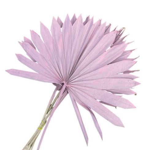 Bakewareind Purple Sun Spear Palm Blooms,2pcs - Bakewareindia