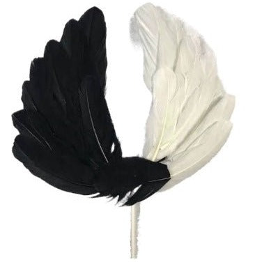Bakewareind Wing Feather Cake Topper , Black and White - Bakewareindia