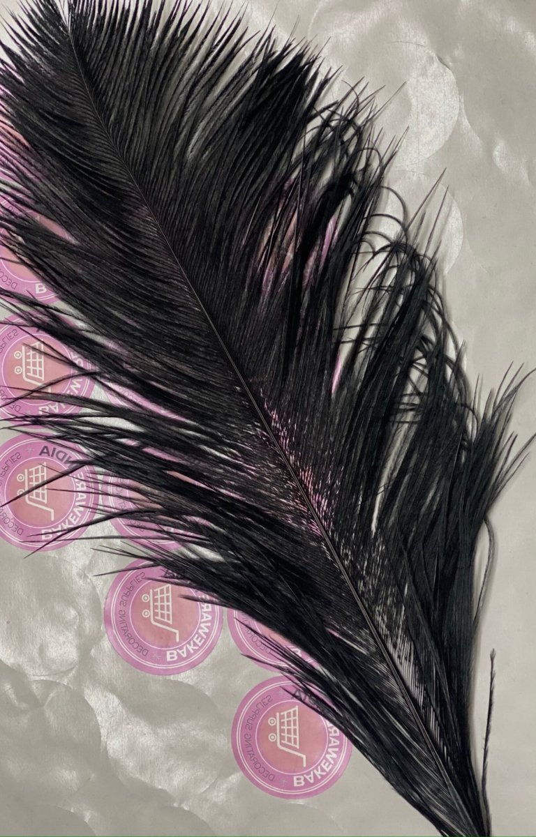 Black Feather Topper,1pc - Bakewareindia